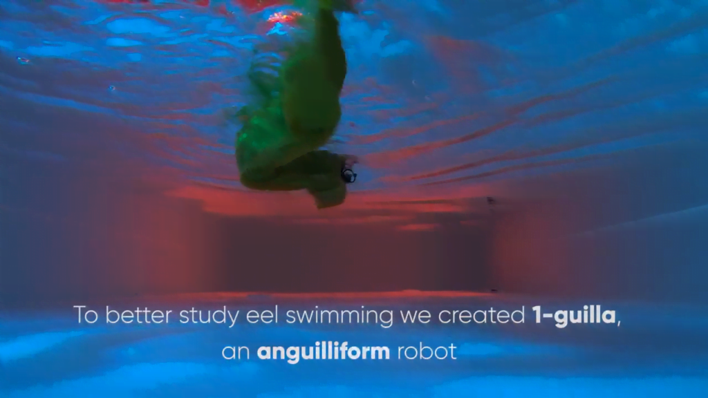 The eel-like 1-guilla is a swimming robot.