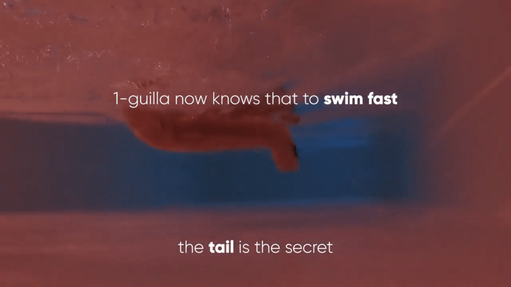 This lets them determine that tail angle affects speed and overall wave form determines the efficiency.