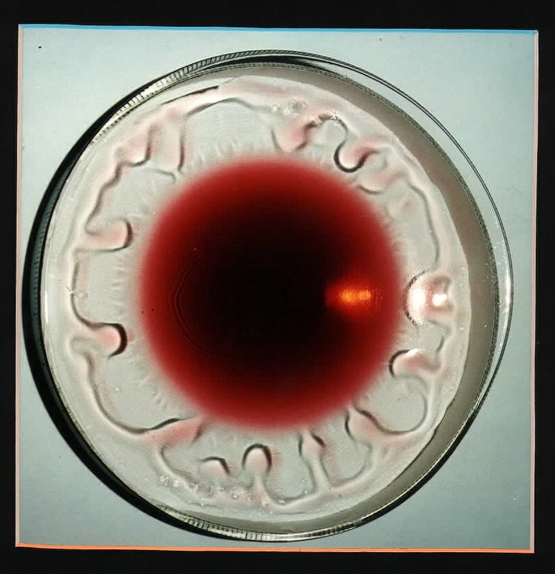 Microgravity Marangoni