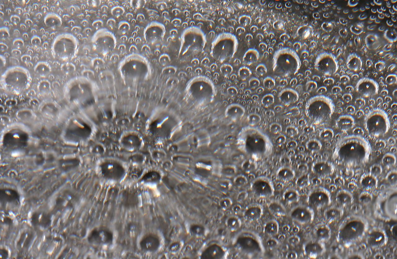 Boiling in Microgravity