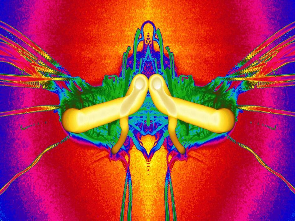 Microgravity Combustion