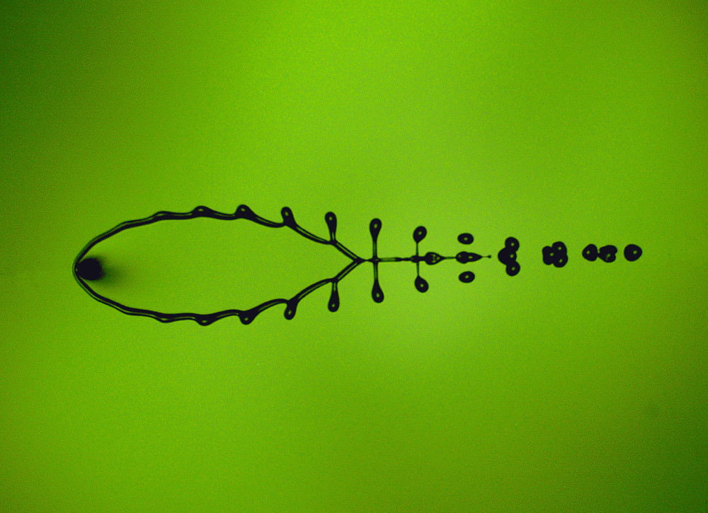 Fishbone Jet Collision