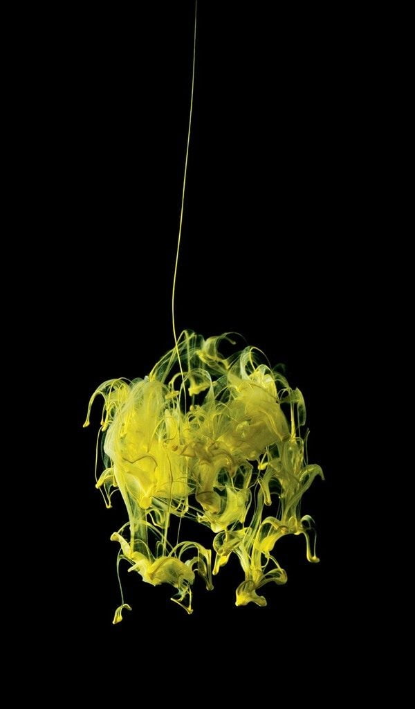 Photo credit: Mark Mawson