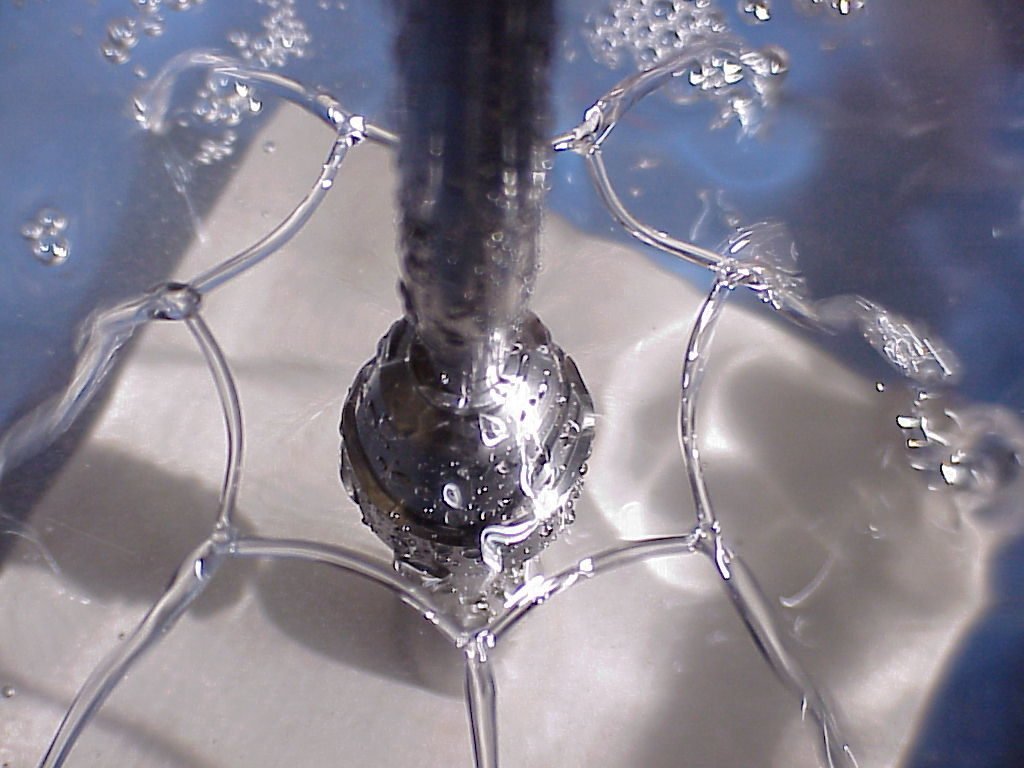 Buckingham and Bush 2001