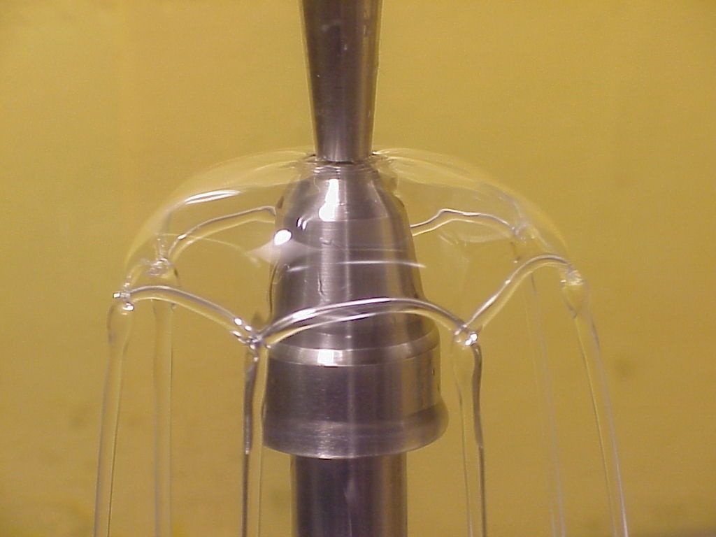 Buckingham and Bush 2001