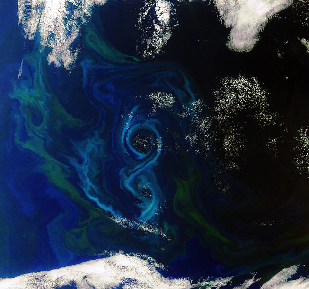 Oceanic Swirls