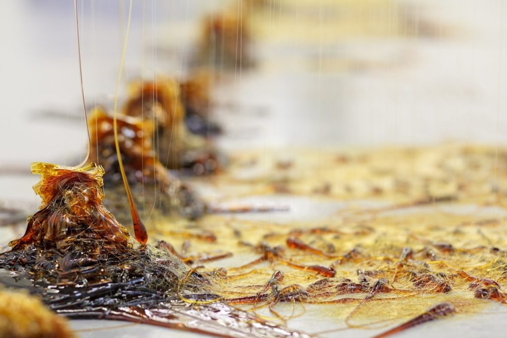 Creep (c) Skye Kelly