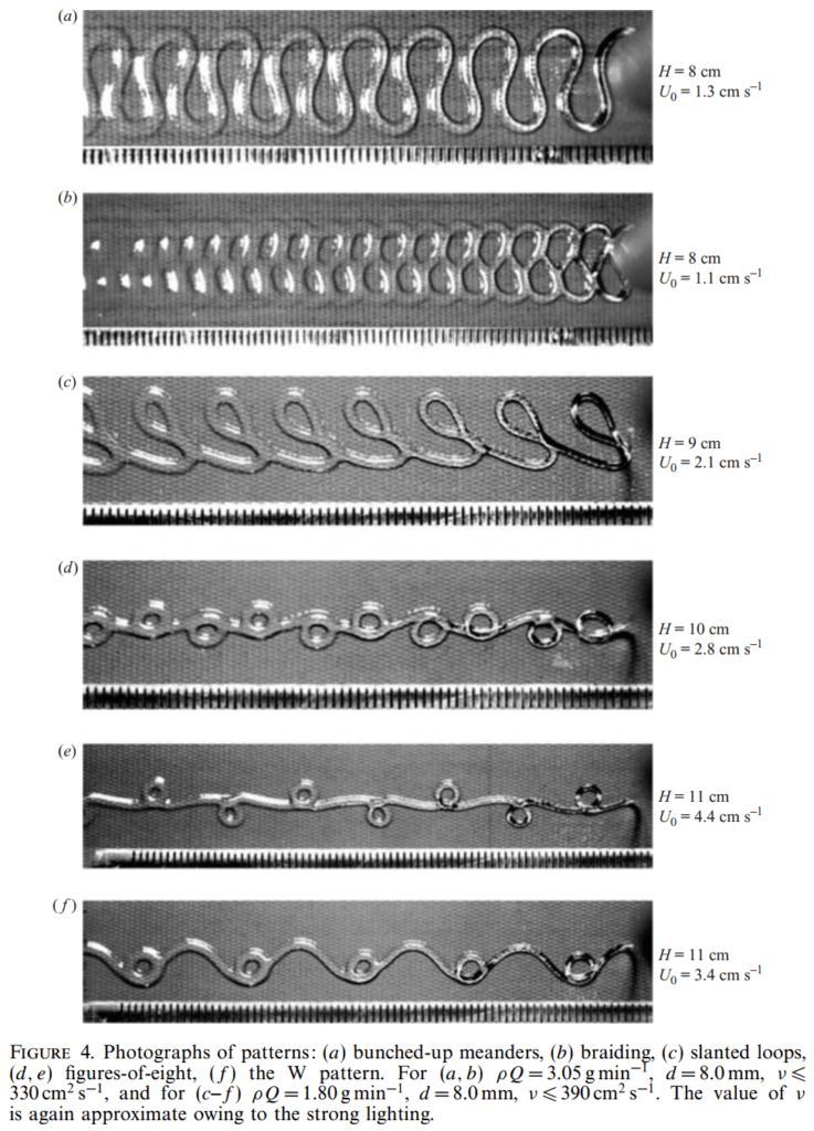 Chiu-Webster and Lister (2006)