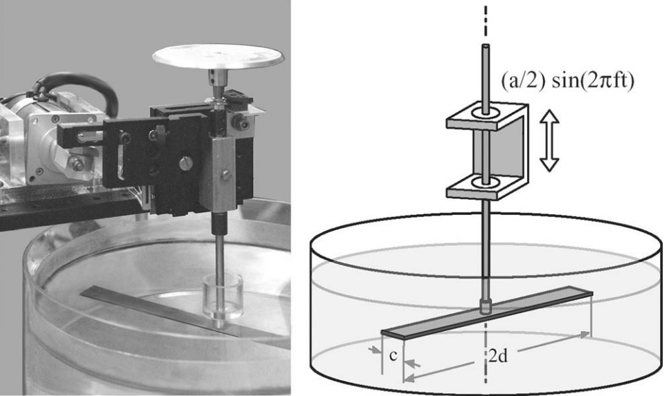 Imitating Flapping Flight