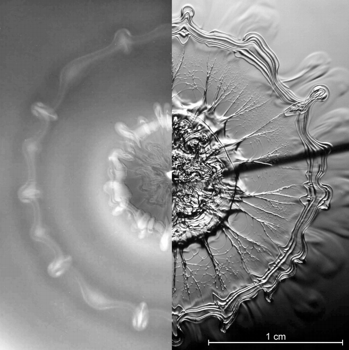 Droplet Impact Visualized
