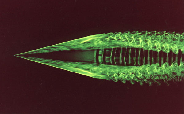 Flow Over a Delta Wing