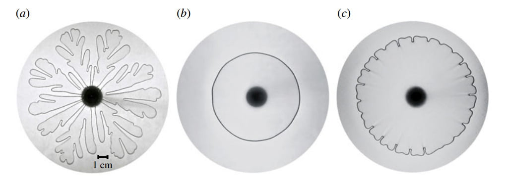 Elastic Walls and Viscous Fingers