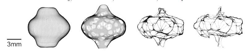 How Fast Do Holes Grow?