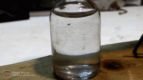 The Leidenfrost Dunk