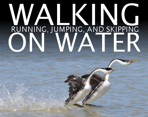 Walking on Water