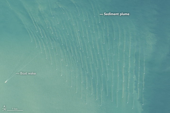 Turbine Wakes in the Sea