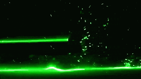 The Japanese Pufferfish