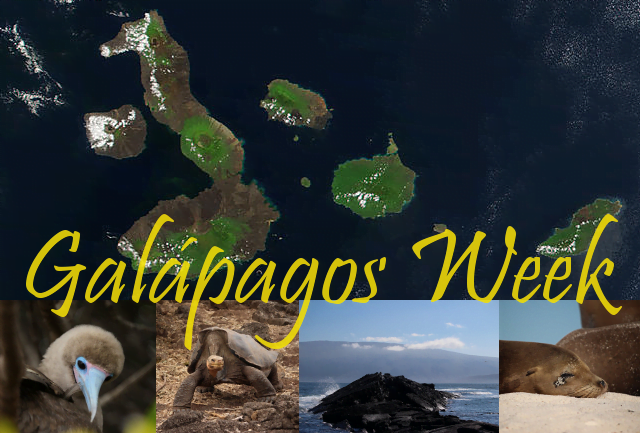 Galapagos Week: Introduction