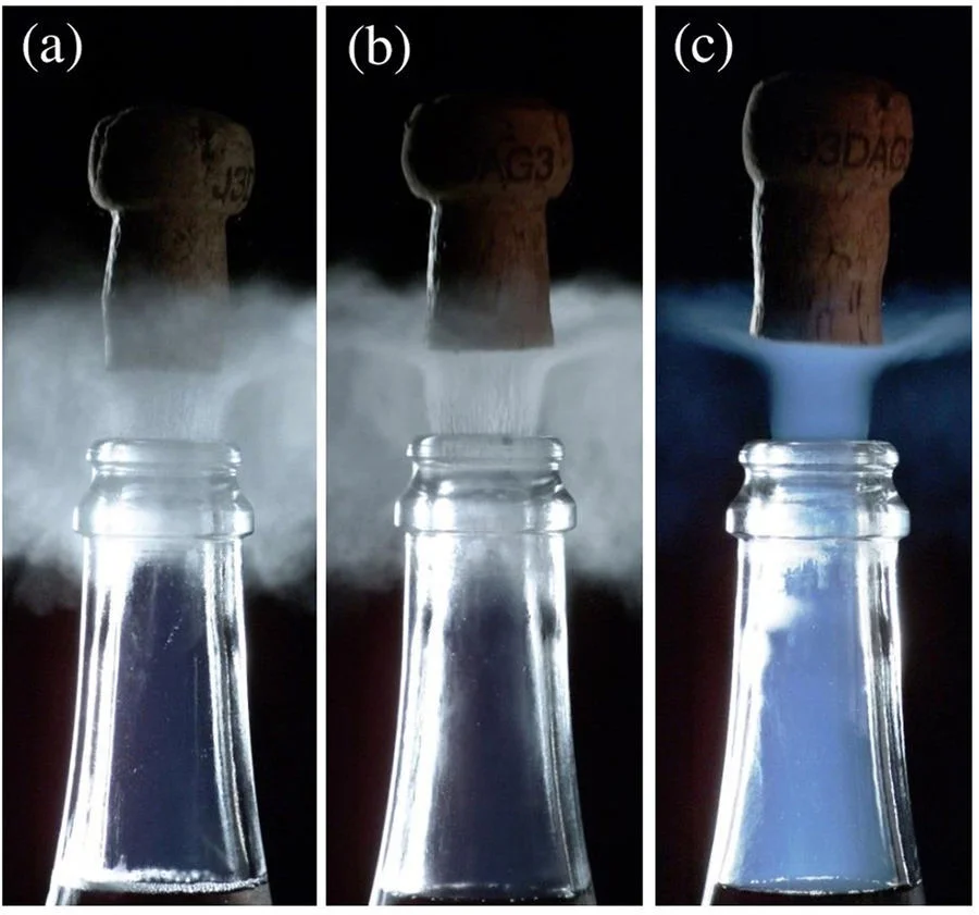 Will Champagne Freeze: Surprising Facts You Need to Know