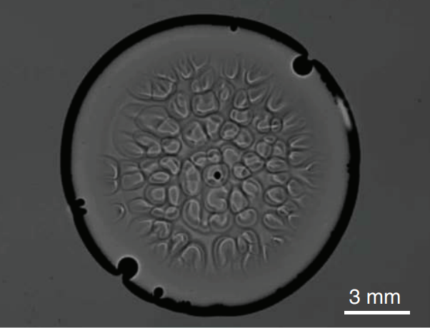 Convection Without Heat