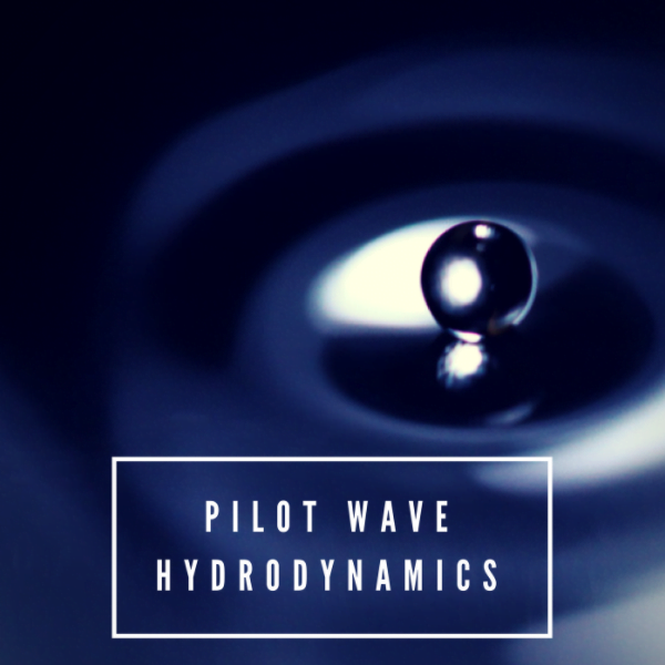Pilot-Wave Hydrodynamics: Introduction