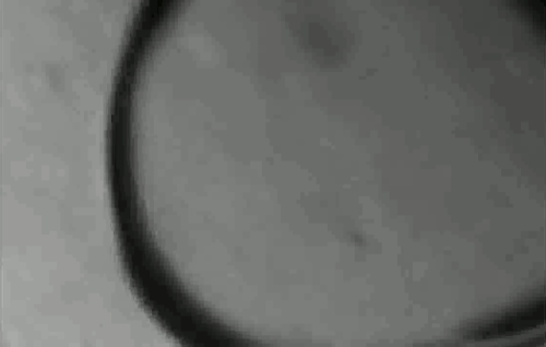 A Burst of Microdroplets