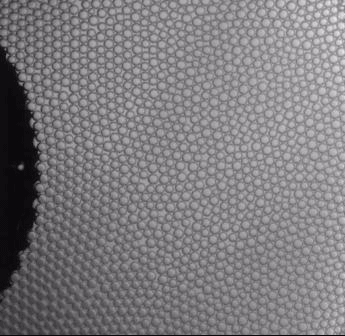 Storing Memory in Bubbles