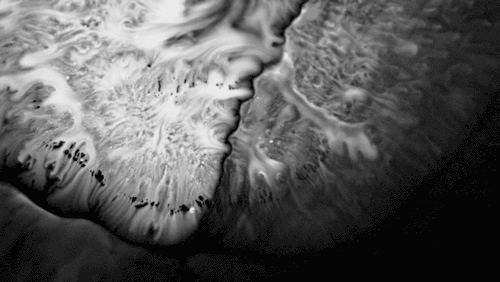 Liquid Calligraphy Grayscale liquids moving into one another