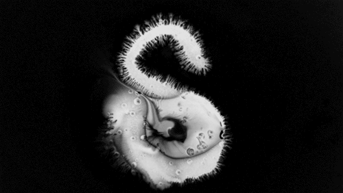 Liquid S A gray liquid S against a black background