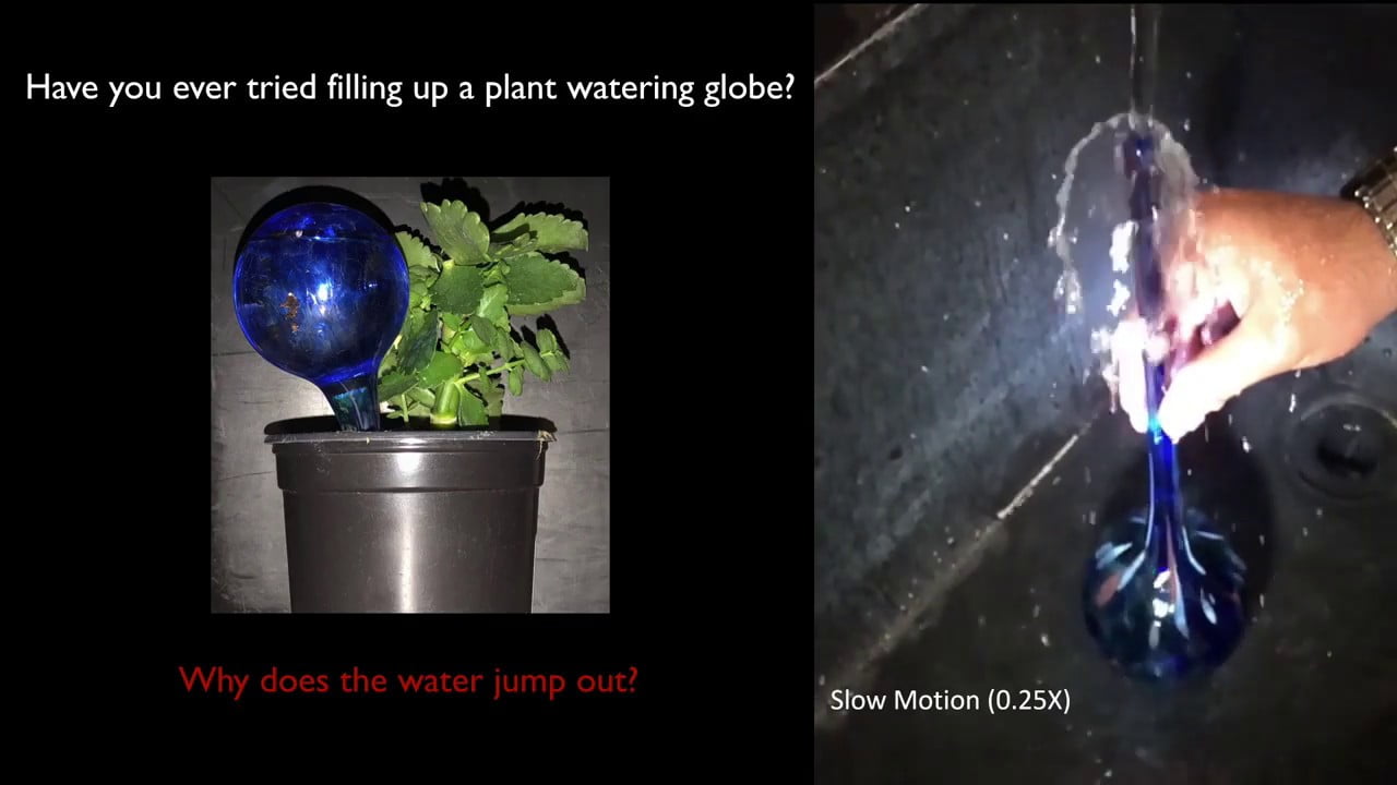 Why Watering Globes Are Hard to Fill FYFD