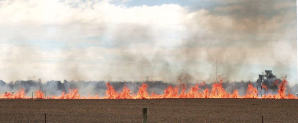A typical grass fire with tower-like updrafts and lower troughs A typical grass fire with tower-like updrafts and lower troughs
