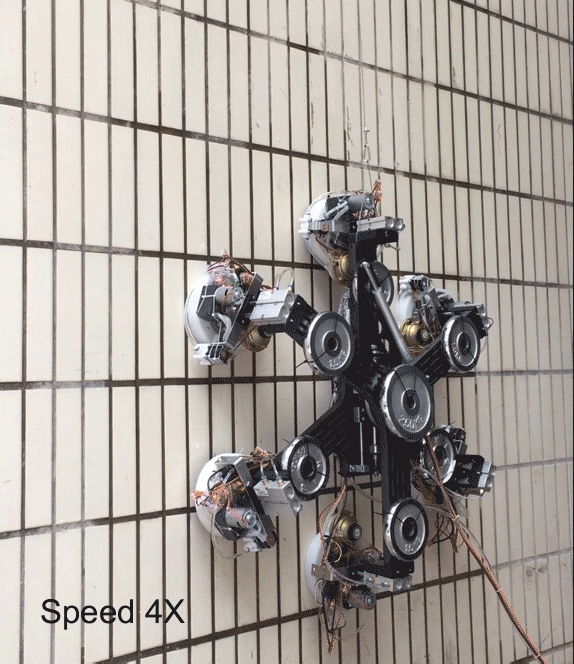 This hexapod robot uses a new method of suction to climb a tiled wall. This hexapod robot uses a new method of suction to climb a tiled wall.