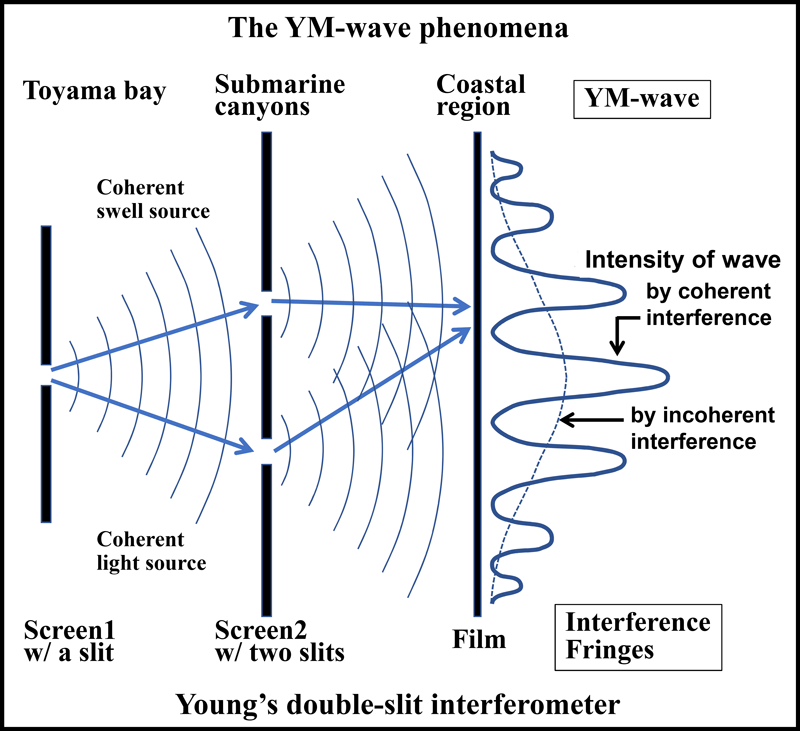 Diagram illustrating the similarity of the YM-wave phenomenon to Young's double-slit experiment. By H. Tamura et al.