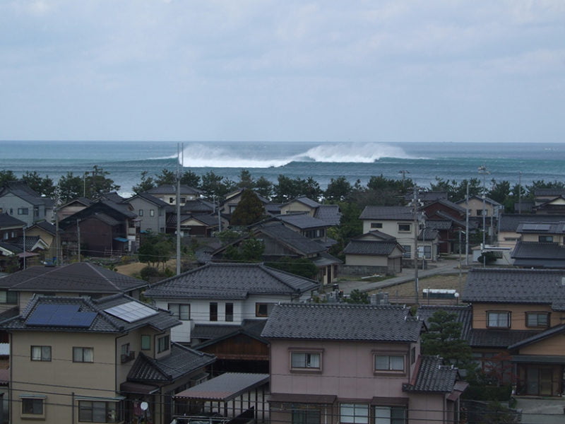 Submarine Canyons Focus Waves