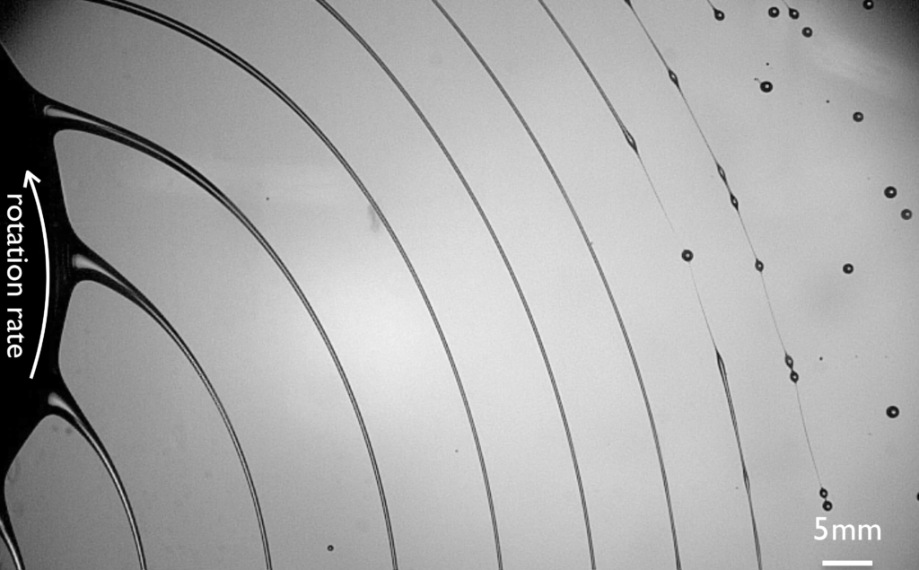 When spun, a Newtonian fluid breaks into evenly sized droplets. When spun, a Newtonian fluid breaks into evenly sized droplets.