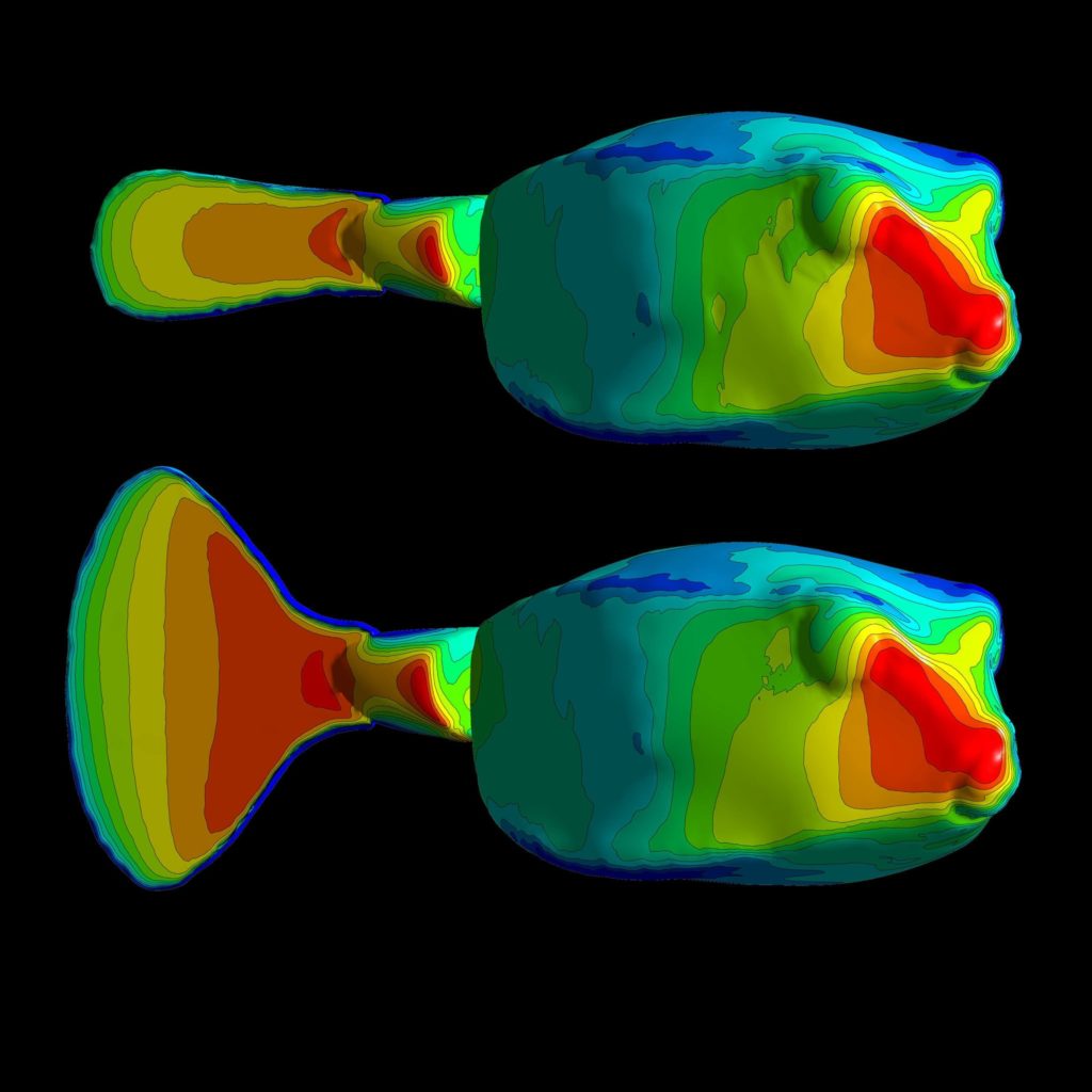 Pressure distributions across a boxfish with a closed and open tail fin. Pressure distributions across a boxfish with a closed and open tail fin.