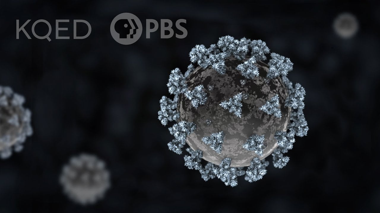 How COVID19 Affects the Lungs FYFD