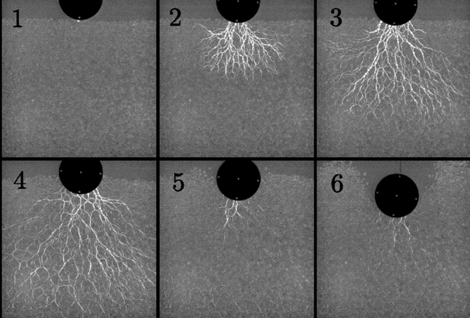 Stress patterns generated in particles during high-speed impact.