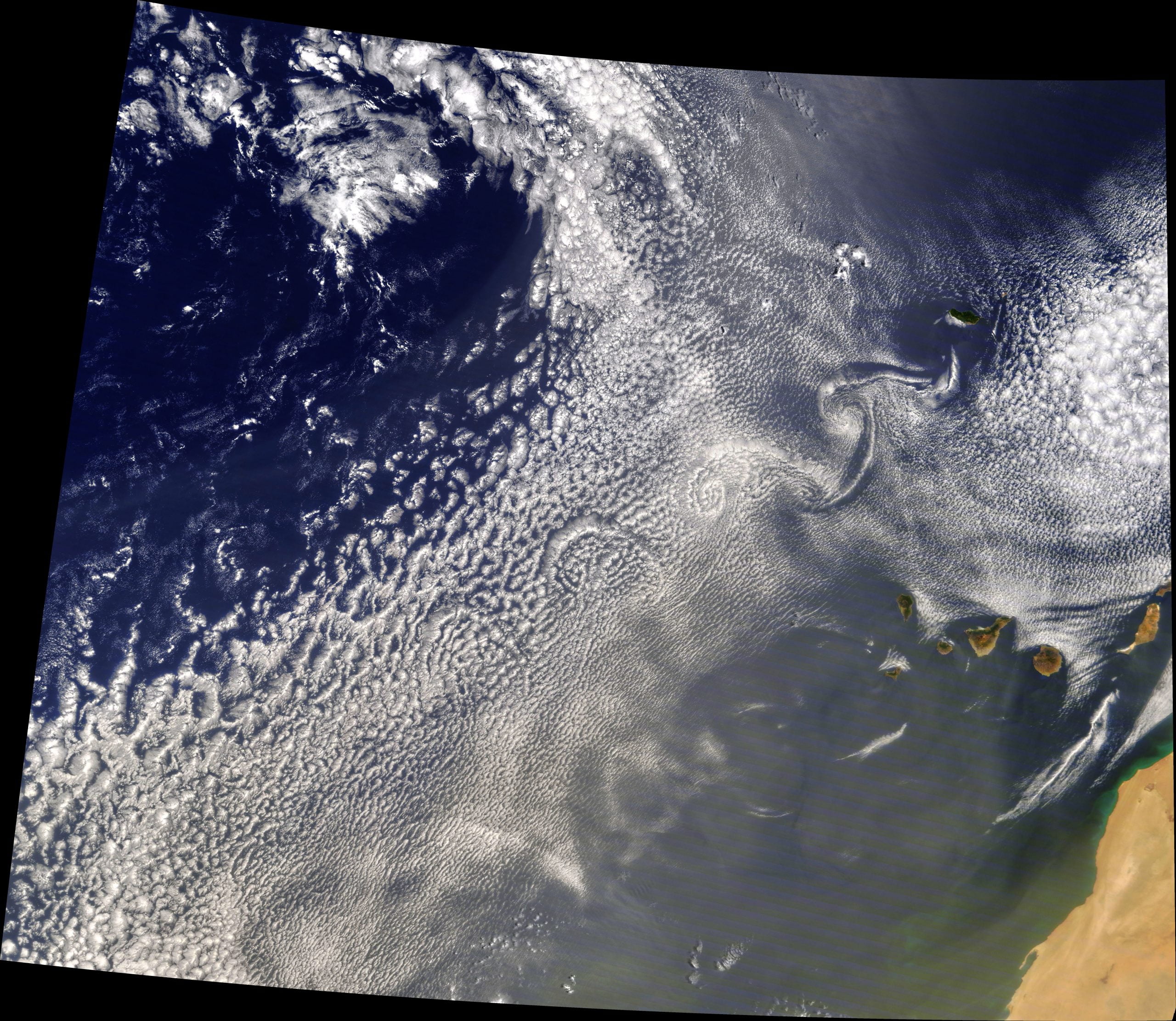 Curls Past the Canaries