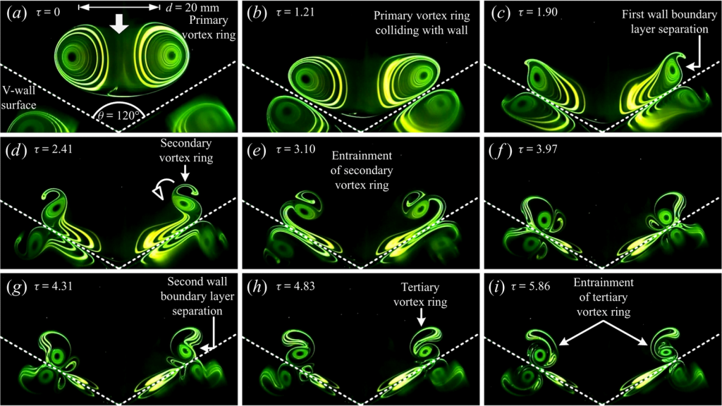 Vortex ring impact on a V-wall broken down.