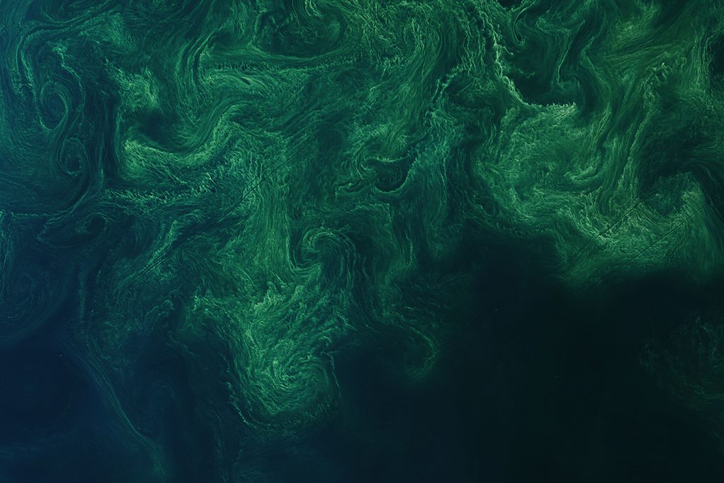 Satellite image of a phytoplankton bloom in the Baltic Sea. Satellite image of a phytoplankton bloom in the Baltic Sea.