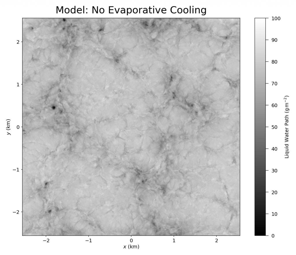 Running the simulation without evaporative cooling results in no spiderwebs. Running the simulation without evaporative cooling results in no spiderwebs.
