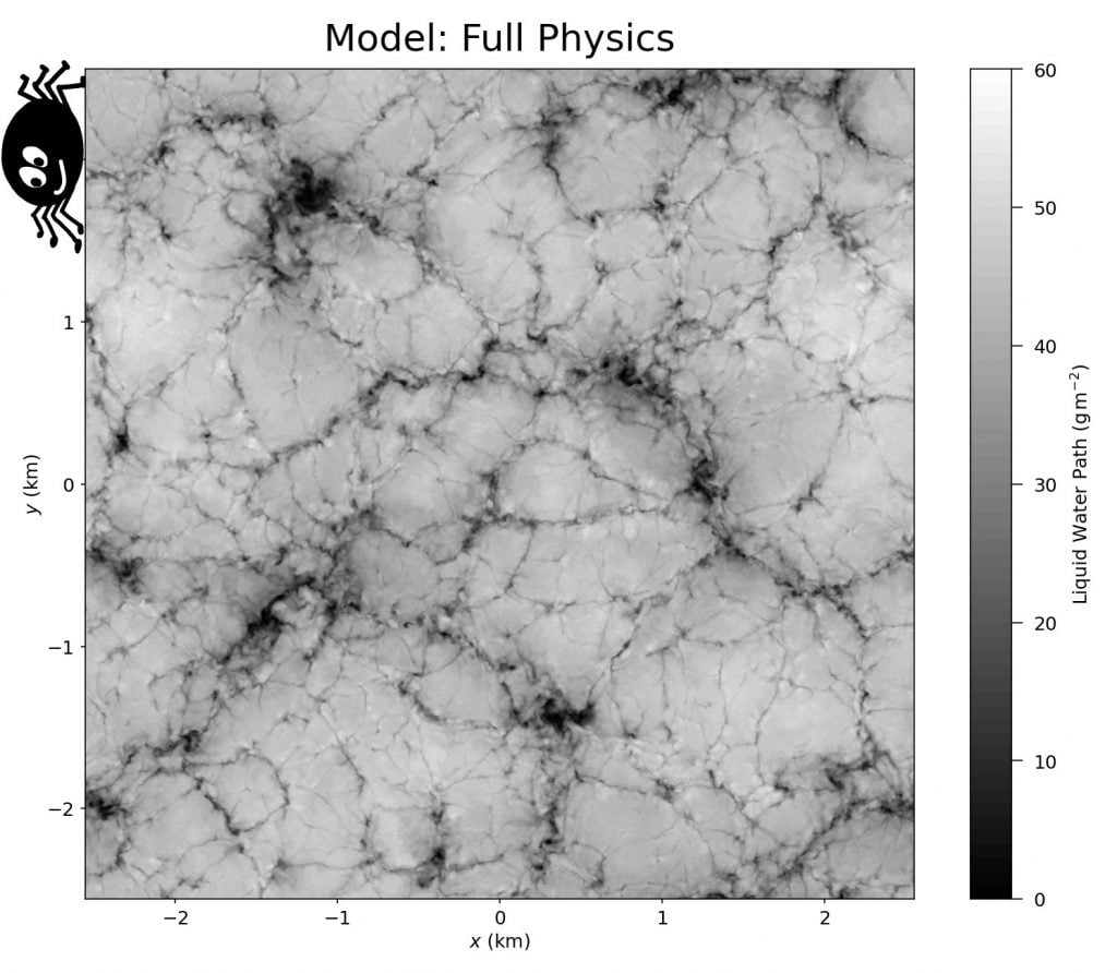 A Large Eddy Simulation including evaporative cooling reproduces the spiderweb-like features. A Large Eddy Simulation including evaporative cooling reproduces the spiderweb-like features.
