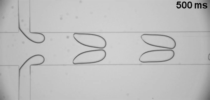 Synchronizing Microfluidic Drops