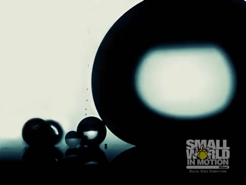 Droplets on a superhydrophobic surface coalescing.