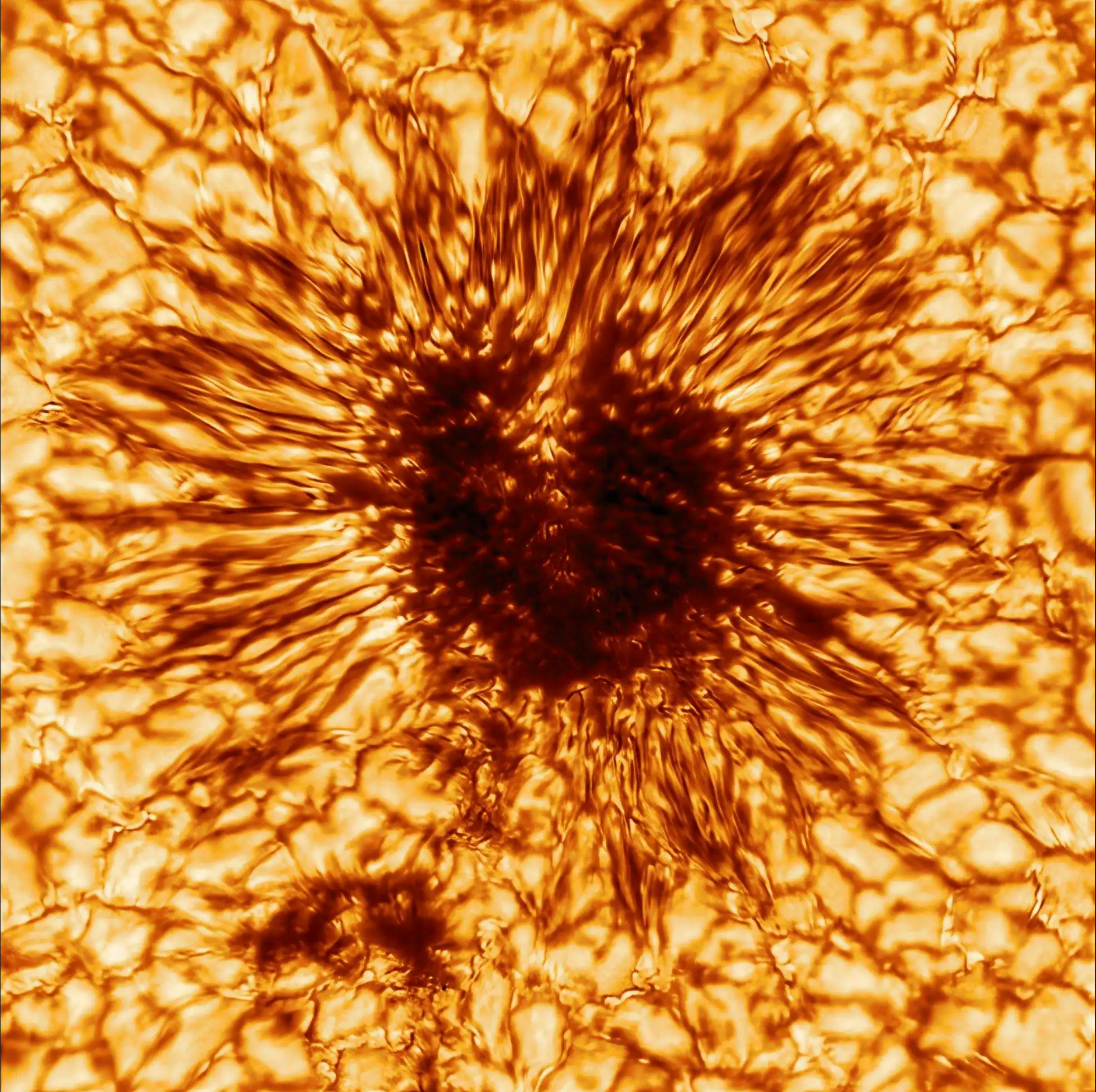 A sunspot larger than the Earth.