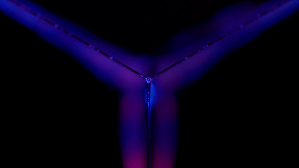 From "Flux Capacitor" by Sandro Bocci.