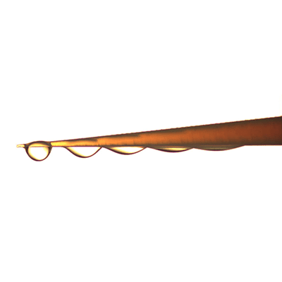 Droplets on a cone move toward its base due to surface tension.