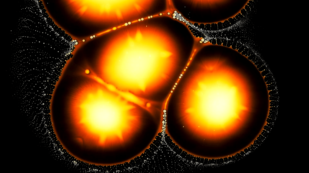 From "Radiolarians" by Roman De Giuli. From "Radiolarians" by Roman De Giuli.