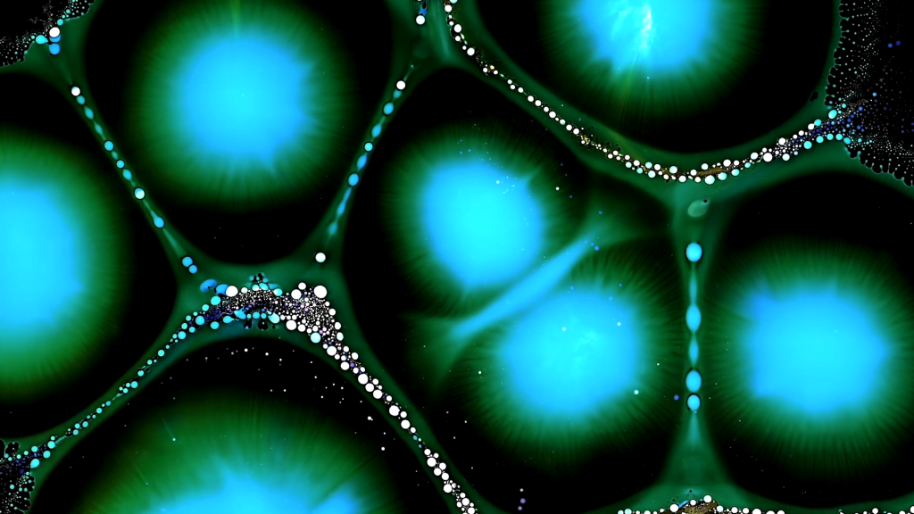 From "Radiolarians" by Roman De Giuli. From "Radiolarians" by Roman De Giuli.